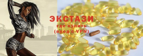 мдпв Вяземский