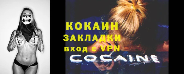 мдпв Вяземский