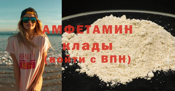 мдпв Вяземский
