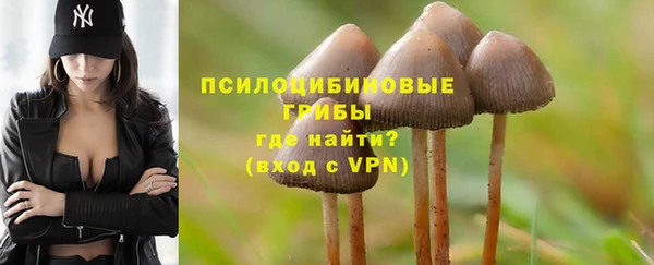 мдпв Вяземский