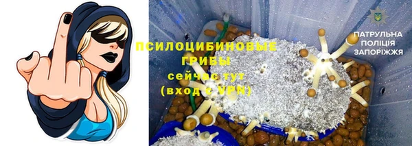мдпв Вяземский