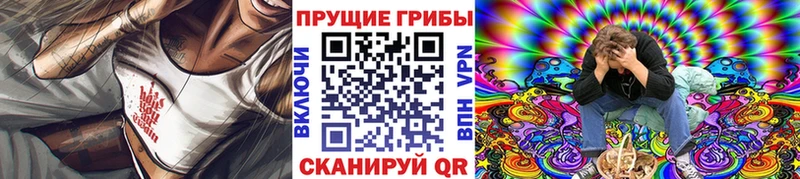 где купить   Павловск  blacksprut как войти  Псилоцибиновые грибы мухоморы 